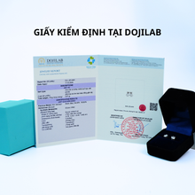 Khuyên tai nữ LAMY kim cương Moissanite 0,5 Carat Classic Six-Claw DE016