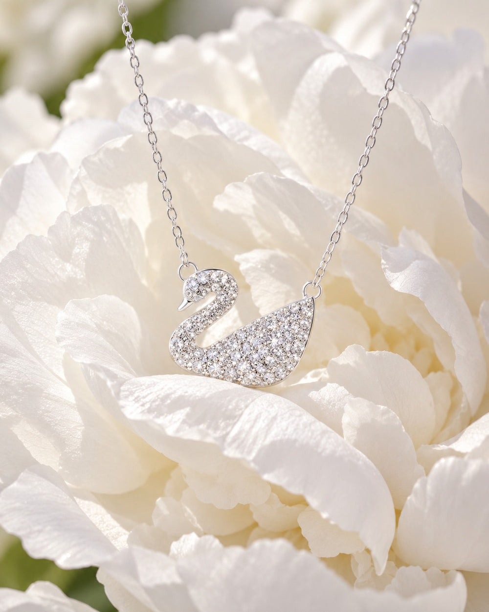 Dây chuyền Iconic Swan bạc - ảnh bối cảnh