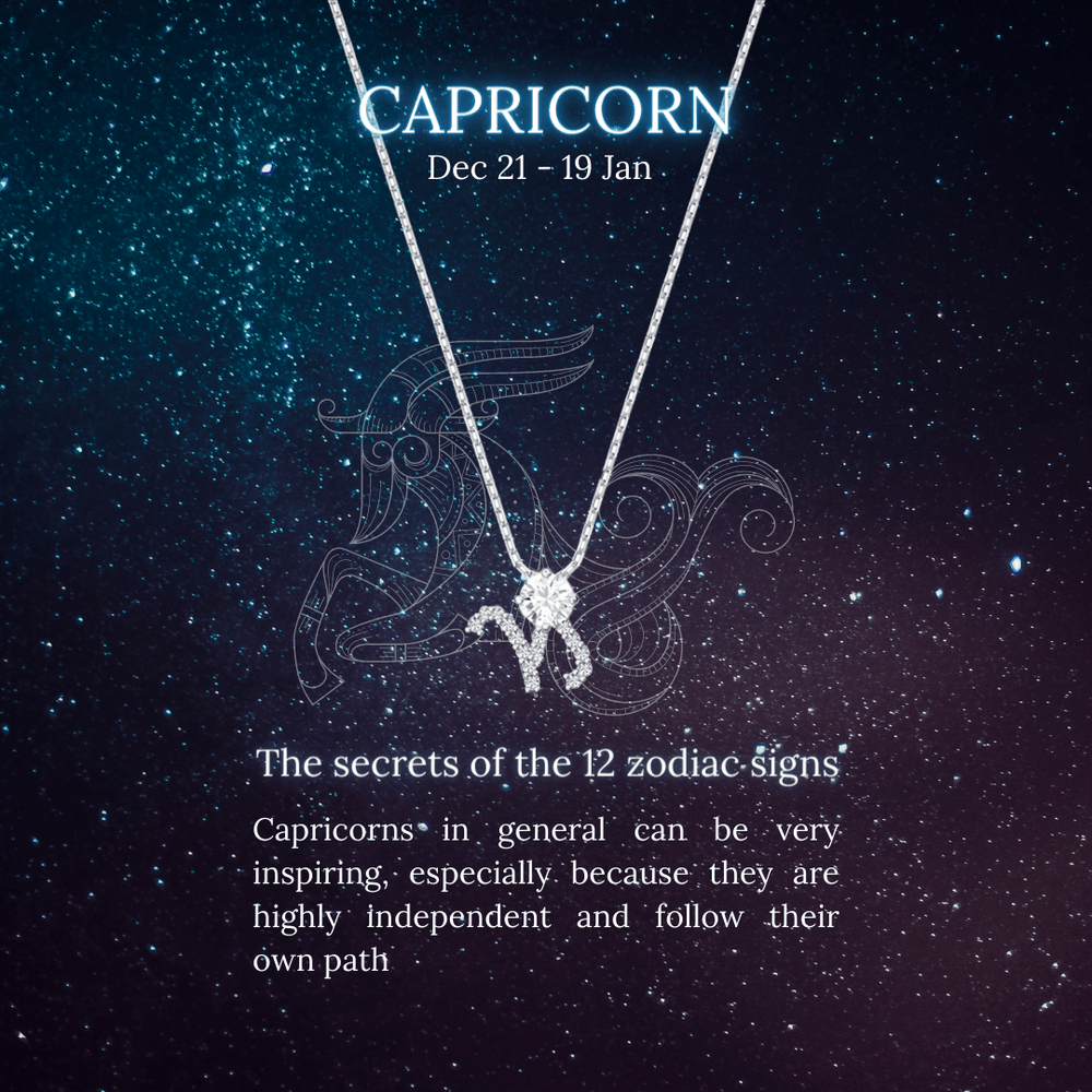 Zodiac Pendant Necklace Silver Capricorn