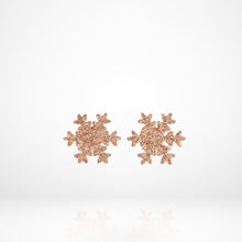 Khuyên tai LAMY Romantic Snowflake Earrings Silver CDE3010RG